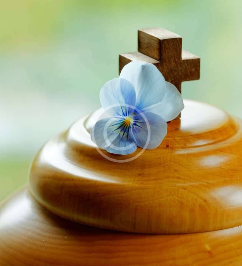 &Gamma;&Rho;&Alpha;&Phi;&Epsilon;&Iota;&Omicron; &Tau;&Epsilon;&Lambda;&Epsilon;&Tau;&Omega;&Nu; &Alpha;&Delta;&Alpha;&Mu; &Beta;&Omicron;&Upsilon;&Sigma;&Omicron;&Upsilon;&Rho;&Epsilon;&Lambda;&Eta;&Sigma; &Chi;&Alpha;&Lambda;&Kappa;&Iota;&Delta;&Alpha;